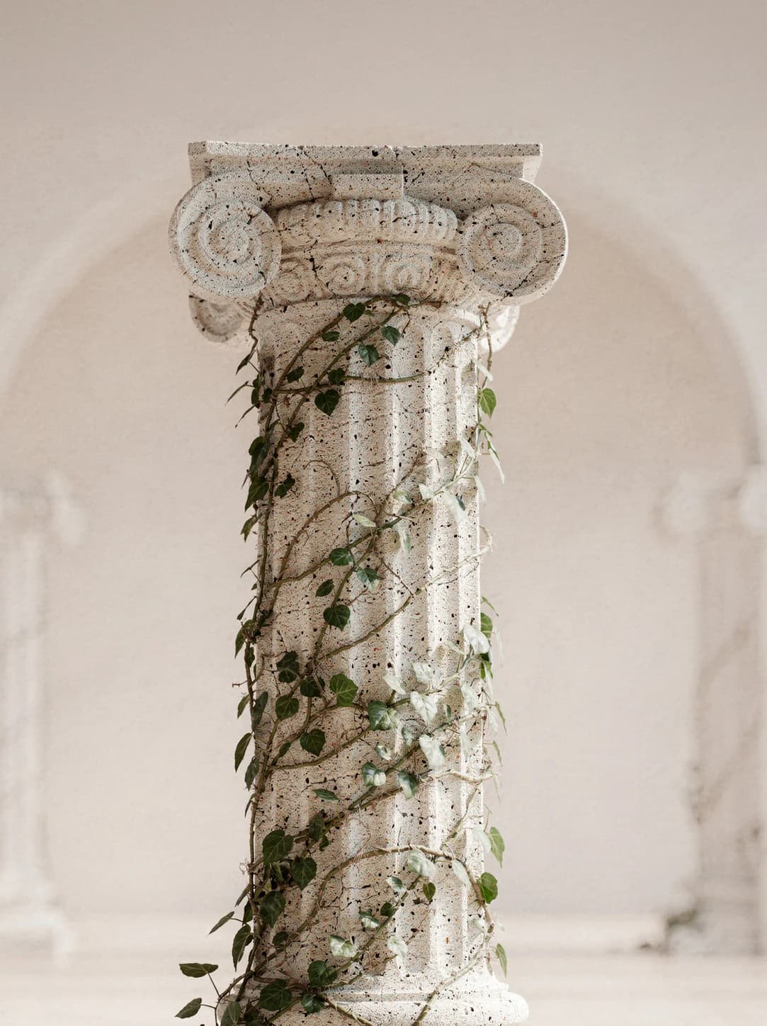 Une colonne de pierre patinée, chapiteau ionique.